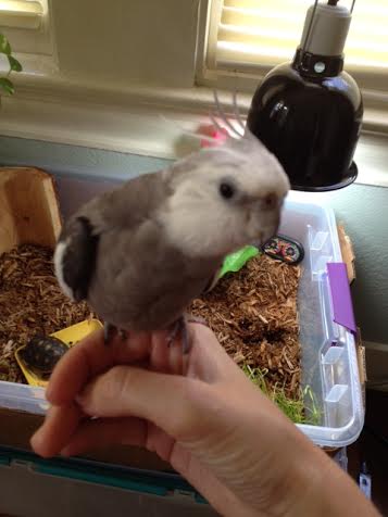 Well, shoot, Mom - too late to return it, I suppose?