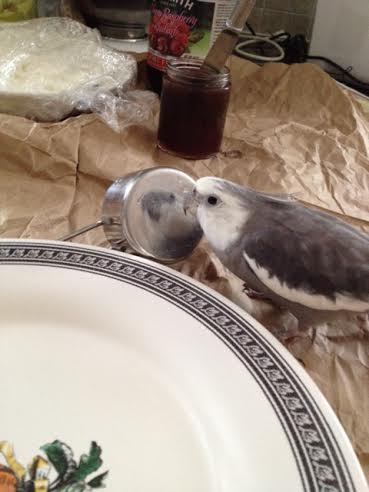 Don't you feel better, Mom? Thank goodness prettiness surrounds me wherever I go!