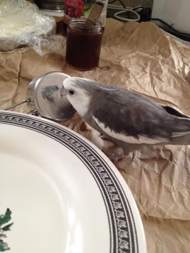 I can see why everyone loves prettiness so much - I've only just begun admiring it and I already feel much better!