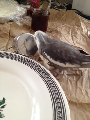 Well - wow! I spy prettiness!