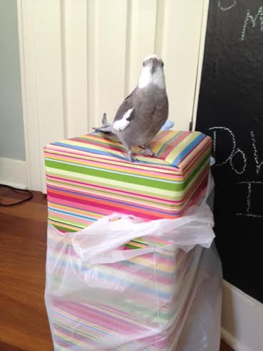 For me? Wow! Thanks, Mom!