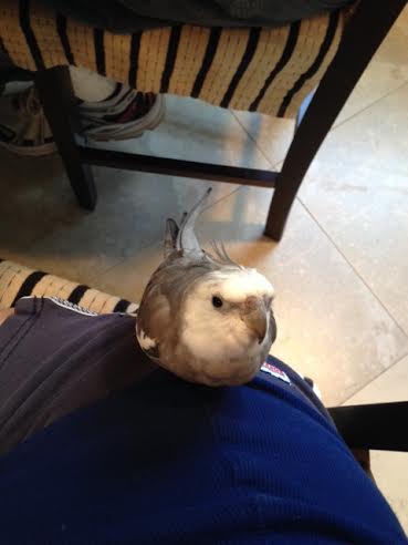 Mom, I need a fortifying waffle before going back out there.