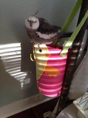 Now I will perform my world-famous illusion trick - "Lion Bird."