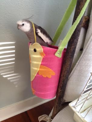 I'll come out and do some ribbon tricks now. 