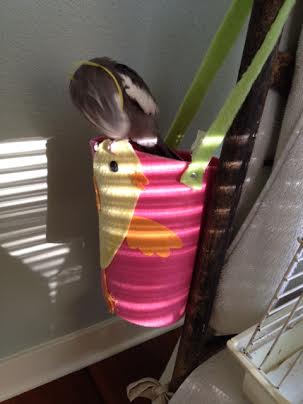 Fans also really like my "loop the loop" trick.