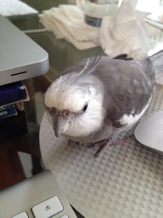 Mom, I need it back now.