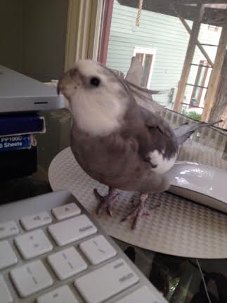 Yes, Mom, I need it back - the small thing with the delicious keys AND the larger silver thing with the mirror. When? Right now.