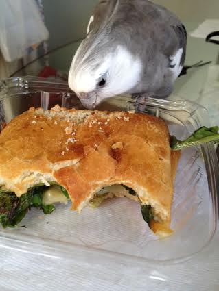One fierce stare is all it takes to quell the panini's protests.
