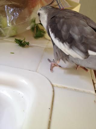 I could sit and study it for hours.