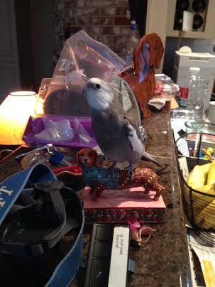 I'll just make sure all my students are watching before I begin the lesson.