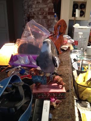 Adding movement can help drive home the most important points.