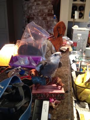 I'll just add in some more movement (after all, I do look very cute with my wings out).