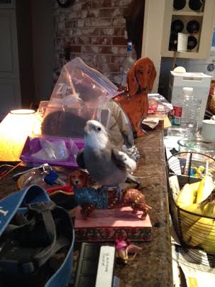 And some more movement - I can tell the students are really into the lesson now, because they are flashing those small rectangular devices at me.