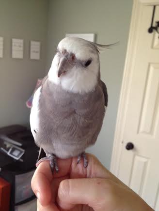 Here, Pearl showcases the natural confidence that should (does) go along with having the luck to be born a "pear."