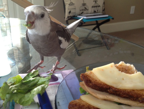 "Economy" service (also known as "you come to the sandwich.")