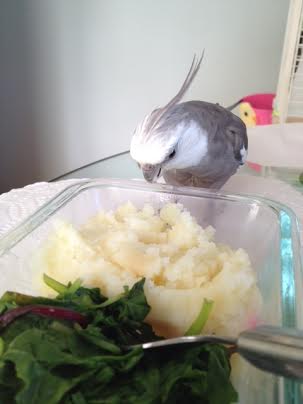 Oh boy! Mashed potatoes - yum!
