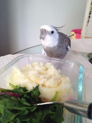 These are for me, right, Mom?