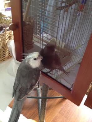 Oh my! Such a pretty reflection!