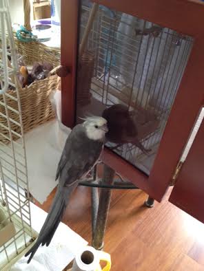 I'll just take a moment (or many moments) to soak in all the prettiness.