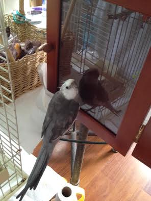 Hi Mom, sure there's room for two to soak in this much prettiness!