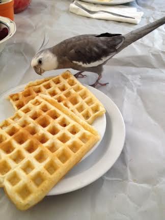 This is such an attractive dish - from every angle I see perfection!