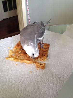 Every morsel of you is so lovely and delicious!