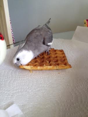 Oh, this corner is so delicious!