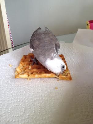 This corner is equally delicious!