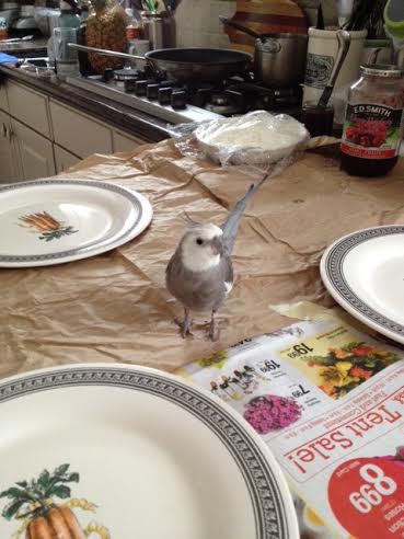 But the delicacies can't hide from me forever. I'll just keep my eyes peeled.