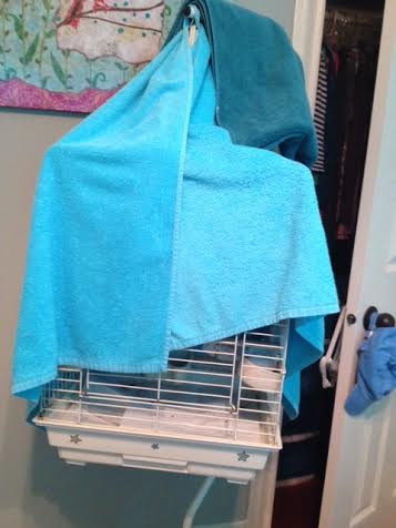 Here, the morning "unveiling" slowly progresses.