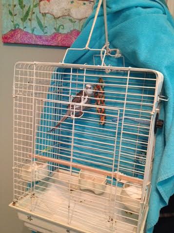 The snoozer gradually adjusts to the bright morning light - and the adulation of attending press, photographers, and (of course) hordes of fans.