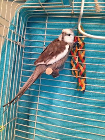 As the snoozer begins to feel more alert, he may choose to pose for one or two "official" press shots.