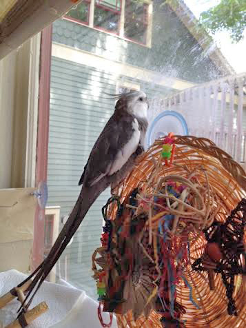 A suspicious movement catches his eye, so he performs a quick expert exterior scan once more.