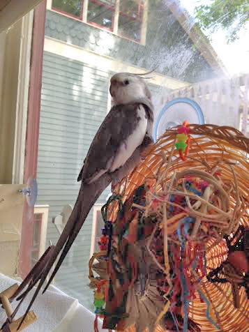 Threat dismissed as a false alarm, he then completes an equally thorough evaluation of the interior space.