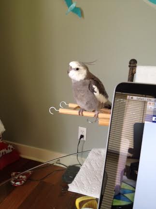 Now I will make direct eye contact with the audience members on my right (being sure to hold very still so they can admire prettiness).