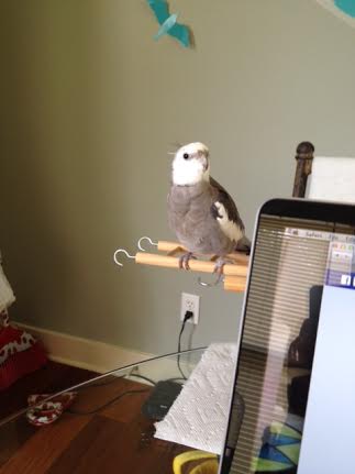 I will finish off the show by making direct eye contact with the audience members on my left. I will wait until all the "oohs" and "aaahs" die down before leaving the stage.