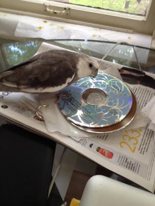 But it seems to have a hole in the middle - we don't want the music trying to escape during class!