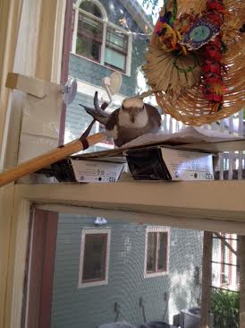 I want to try out this great new design idea, but first I have to wait until Mom's not looking.