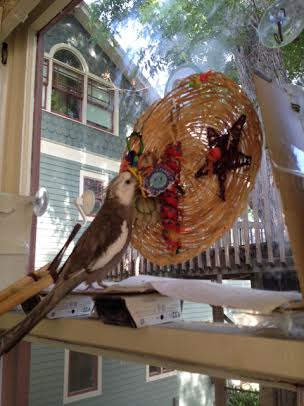 Mom's problem is that she can't visualize remodeling ideas like I can.