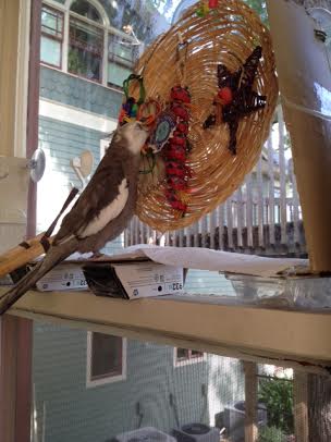 But I know once I am finished she is going to love it.