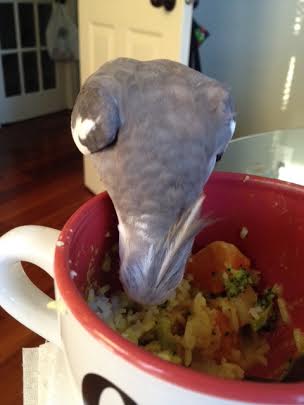 I'll use one of my best maneuvers, the "lunge and consume."