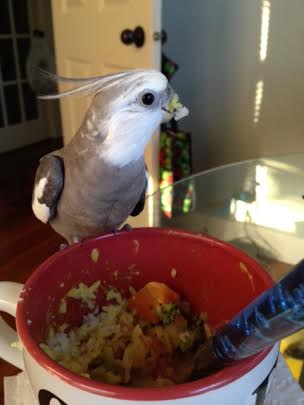 Ok, Mom, but only one press photo today. Here's one of me gripping my prey.