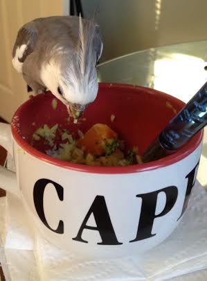 Oh! Curry! I'd better bring my A game.