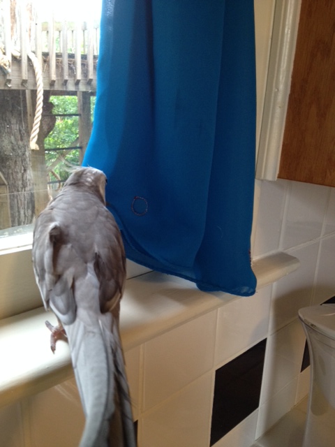 I think I'll sample it.