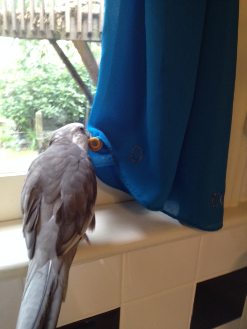 Boy, Mom - you really should try these - they are not to be missed!