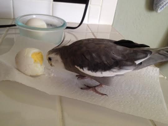 Don't mind if I do....especially these white bits. They're scrumptious.