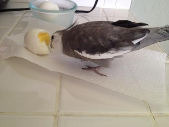 I'm getting full, but I'll just have a morsel or two more.