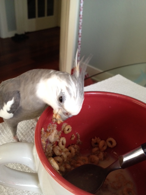 You can run but you can't hide.