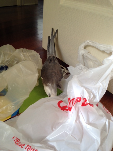 The model pauses for a moment to replace a wayward "prop."