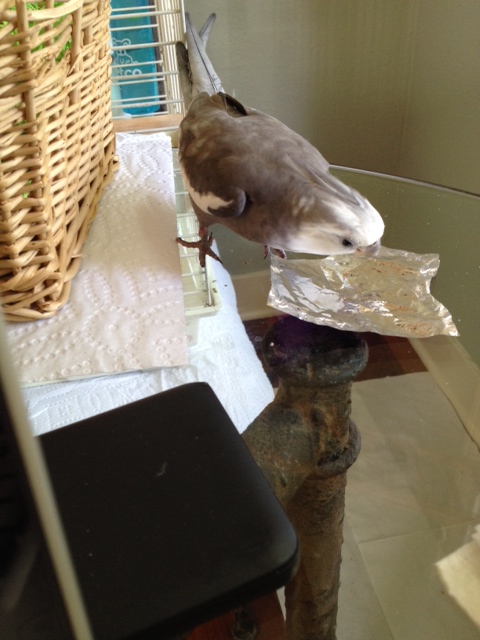 Aha! Visual "prettiness proof" (an industry term).